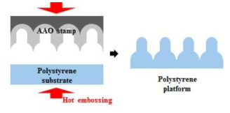단계구배 표면자극 세포배양 플랫폼 제작을 위한 핫 엠보싱 공정 모식도