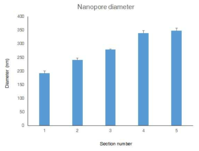 단계구배 나노포어 표면자극 세포배양 플랫폼 상 각 구획 별 나노포어 크기