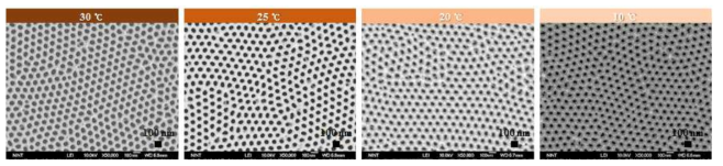 단계구배 나노포어를 가지는 AAO 템플릿의 구획별 SEM 이미지