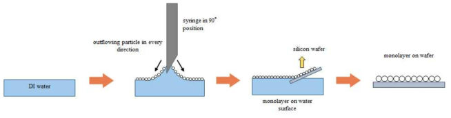 단층 자가정렬 파티클 어레이 제작을 위한 공정 모식도