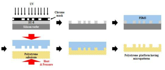 UV-포토리소그래피 공정, PDMS 몰드 인서트 제작, 핫 엠보싱 공정을 통한 세포배양 플랫폼 제작 과정