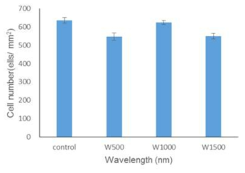 Wrinkle 공정 기반의 단계구배 표면자극 세포배양 플랫폼 상 중간엽줄기세포 증식 결과 분석