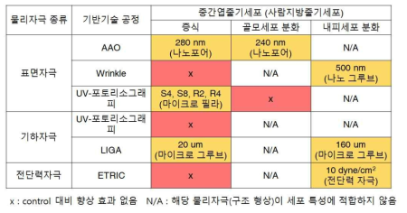 단일 물리자극 세포배양 플랫폼 상 중간엽줄기세포의 증식/분화 최적조건 도출