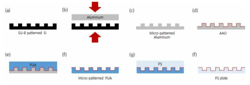 AAO 기반 표면자극, UV-포토리소그래피 기반 기하자극의 다중 구배 물리자극 세포배양 플랫폼의 제작 공정 모식도