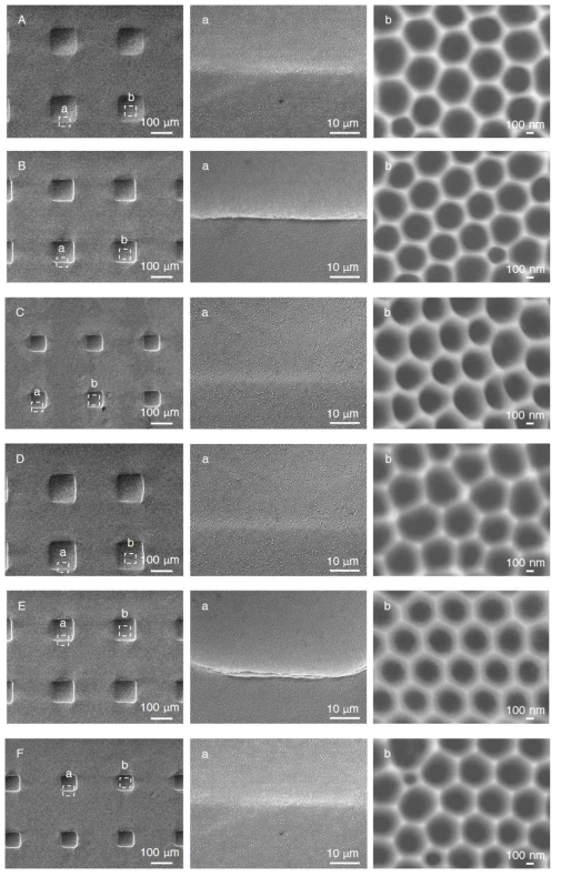 AAO 기반 표면자극, UV-포토리소그래피 기반 기하자극의 다중 구배 물리자극 세포배양 플랫폼의 구획 별 SEM 이미지