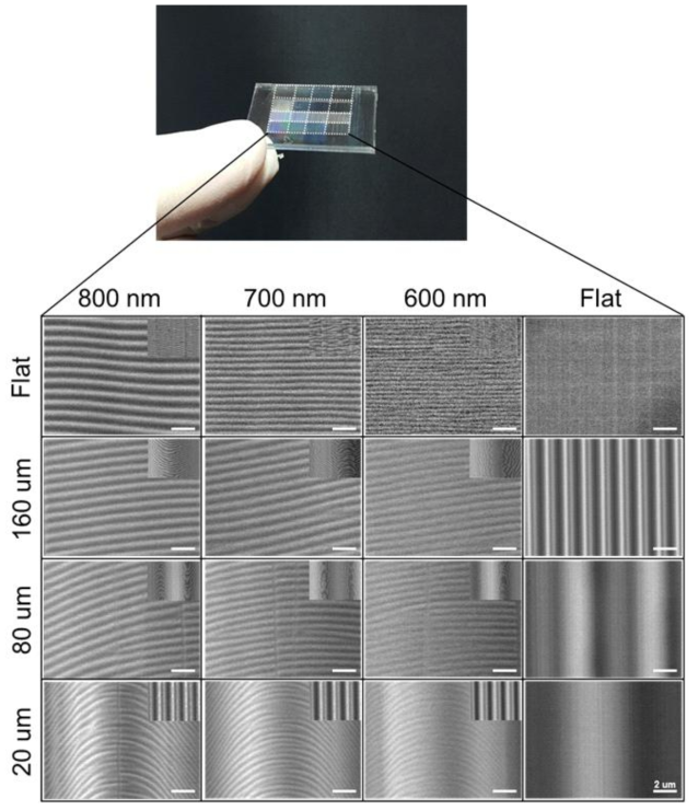 Wrinkle 기반 표면자극, LIGA 기반 기하자극의 다중 구배 물리자극 세포배양 플랫폼의 구획별 SEM 이미지