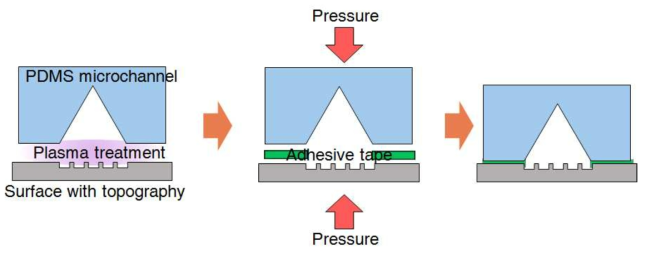 정삼각 단면의 미세유체 채널과 구조자극 표면의 접합 공정 모식도