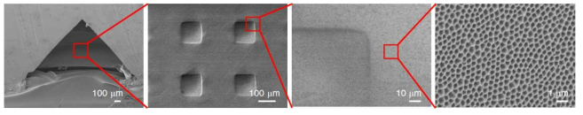 AAO 공정기반 표면자극 + UV-포토리소그래피 공정기반 기하자극 + 전단련자극의 다중 구배 물리자극 세포배양 플랫폼의 SEM 이미지