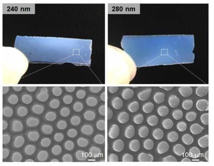 240 nm, 280 nm 크기의 나노필라를 갖는 PUA 몰드 인서트
