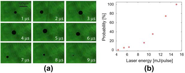 (a) Free-field 공동의 고속 촬영 영상 (시간별 연속 사진을 통해 공동의 생성부터 파괴까지의 과정을 확인함). (b) 레이저 세기에 따른 공동 생성 확률 (통상 확률이 50%가 되는 지점을 공동발생 임계점으로 판단함).