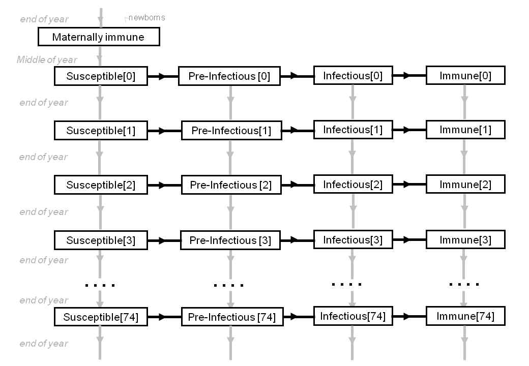 General structure of the transmission model used to recreate the epidemiology of varicella, before the introduction of vaccination (adopted from Vinnycky E, White RG. Age patterns. An introduction to infectious disease modelling. Oxford: Oxford University Press; 2010.)