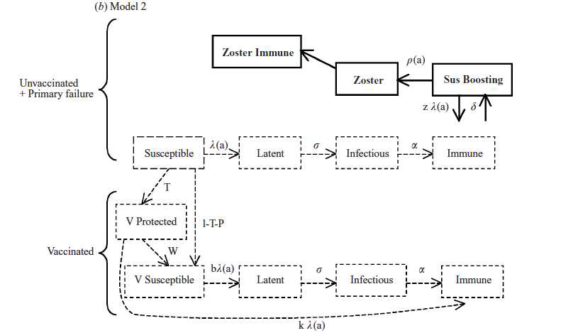 Flow diagram of varicella and zoster before and after vaccination.