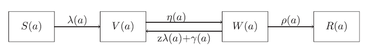 Schematic of the model under the short-disease approximation.