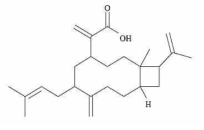 Rauric acid 구조