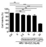 Cholesterol 보충에 의한 itraconazole의 항바이러스 활성 억제