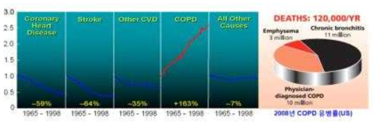 (좌) 미국에서 연도별 나이에 따른 사망원인 퍼센트율(%) 추이(세계보건기구 2004);（우) 미국의 연간 COPD 유병율 및 사망자수[Asthma & COPD, 2008