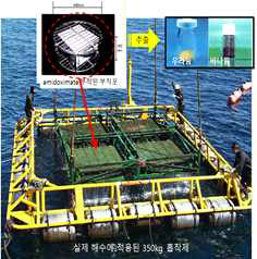 일본에서의 해수에서 우라늄 채취하기 위한 흡착제 및 현장사진