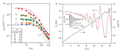 2차원 반도체 황화몰리브데넘 표준소자의 이동도 측정 결과 및 양자수송현상 관측 결과