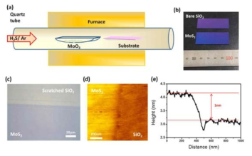 MoS2의 CVD 합성과 AFM을 이용한 두께 측정.