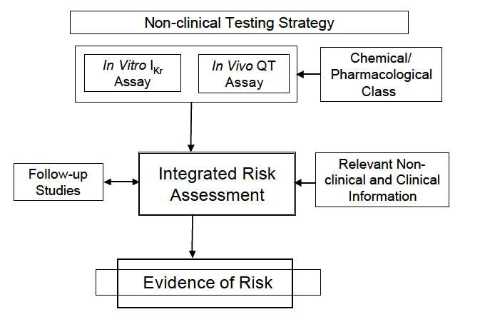 ICH S7B guideline에 제시된 QT 연장 발생의 예측 위한 decision tree.