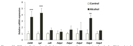 Effect of chronic alcohol treatment on the expression level of mRNA related to lipid uptake in the liver.
