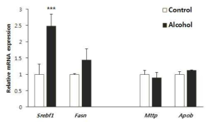 Effect of chronic alcohol treatment on the level of hepatic mRNA expression.