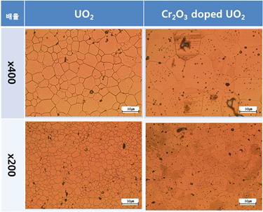 표준 UO2 및 Cr2O3 첨가 UO2 소결체의 미세조직