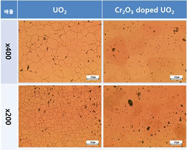 표준 UO2 및 Cr2O3 첨가 UO2 소결체의 미세조직