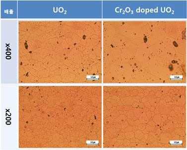 표준 UO2 및 Cr2O3 첨가 UO2 소결체의 미세조직