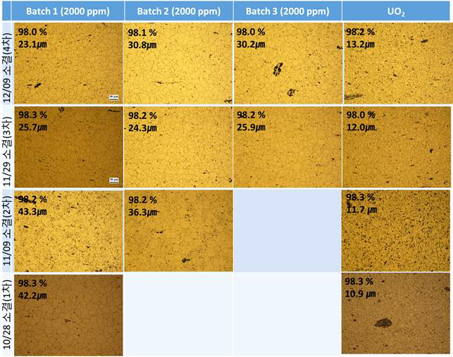 제 3차 소결시험 결과 Batch 1, 2, 3에서 제조된 MnO-Al2O3 첨가 UO2 소결체의 미세조직