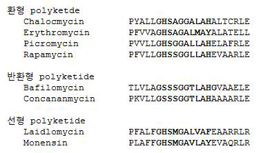 Polyketide 화합물 유리방식이 다른 PKS TE domain 들의 활성부위에 존재하는 아미노산 서열들