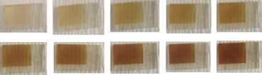 Zn(acetate)2와 Na2MoS4을 이온 소스로 사용하여, 순차적으로 SILAR 1~10회 진행 후 얻은 TiO2 전극 색깔의 변화를 찍은 사진들.