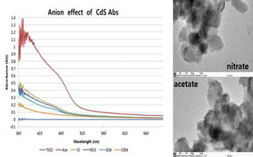 같은 농도의 다양한 음이온 사용에 따 른 CdS 양자점의 성장 후의 흡수 스펰트럼과 대표적 음이온 (nitrate와 acetate) 사용시 SILAR 과정후 찍은 TiO2/CdS의 TEM 이미지.