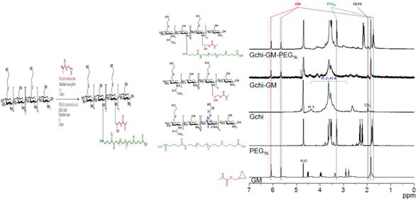 가시광선 광경화 가능 수용성 키토산 유도체 IV의 제조 방법 및 1H NMR 분석