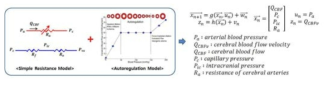 SR 모델과 자기조절 모델이 결합된 뇌혈류역학 모델