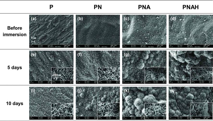 유사체액 침적 후에 표면 구조변화 관찰 결과