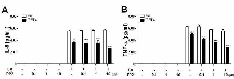 Toll-like receptor 결핍된 대식세포에서 F. nucleatum에 의한 IL-6(A) 및 TNF-α(B) 생성에 미치는 RIP2의 역할