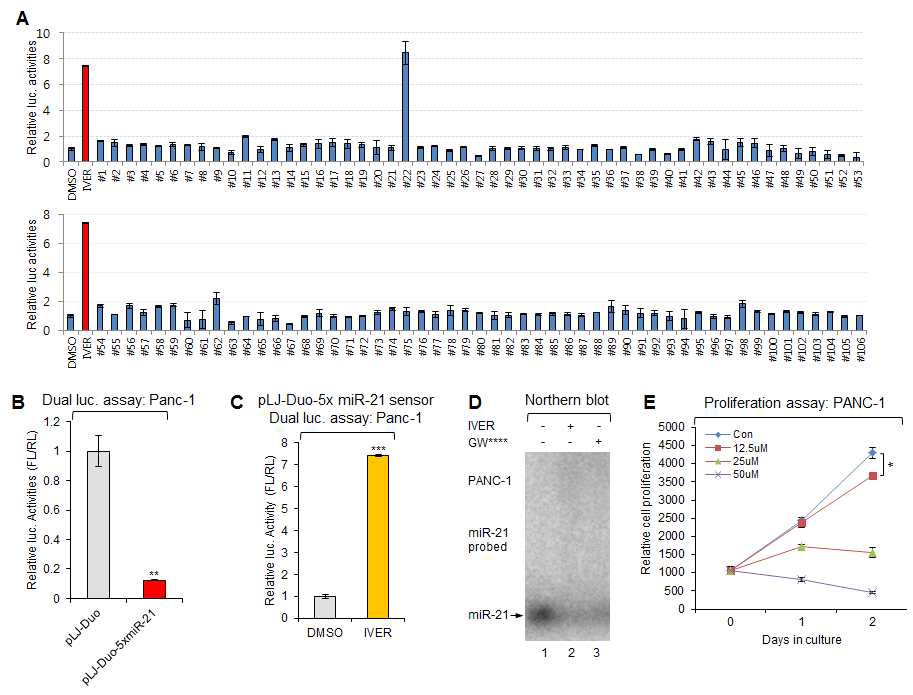 (A) 췌장암 세포주인 PANC-1 세포주에서 pLJ-Duo-5xmiR-21 target lentiviral expression system을 감염시켜 기존 효과검증된 약물인 ivermectin에 비교하여 #22 약물인 GW4064의 효과를 검증 함. (B)~(E) 최장암 세포주인 PANC-1에서 pLJ-Duo 시스템의 검증, ivermectin, GW4064의 microRNA에 대 한 효과의 northern blot 검증, proliferation assay를 통한 ivermectin, GW4064 효능 검증