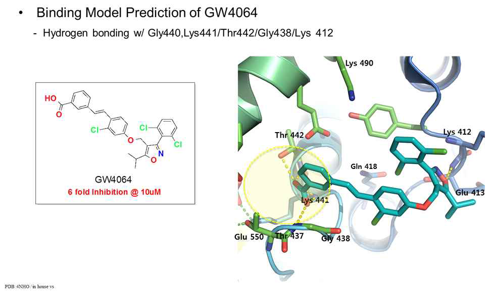 DDX23-binding model prediction을 통한 GW4064와의 결합구조 예시 모습