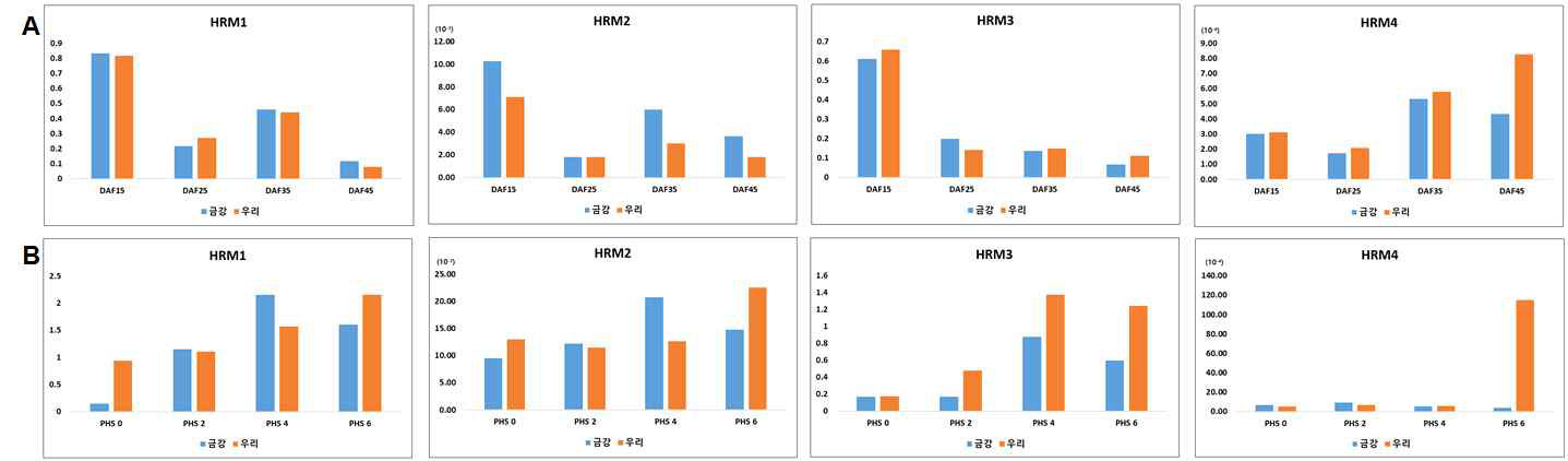 수발아 및 ABA 처리에 의한 chorismate (HRM1, HRM2)와 isopentenyl-PP 유전자의 발 현 양상