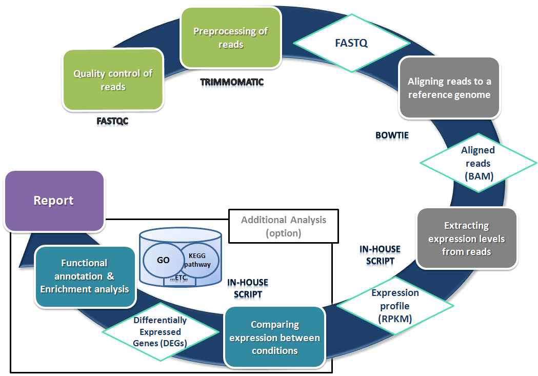 RNA sequencing 분석 Workflow