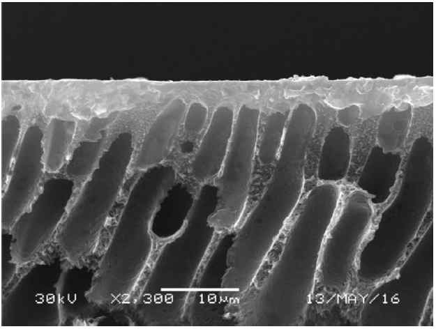 BMIM+BF4-/Ag2O/KF 복합막의 SEM image