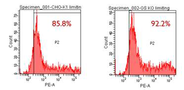 CHO-K1 및 GS knockout CHO-K1 세포주의 transfection efficiency 분석