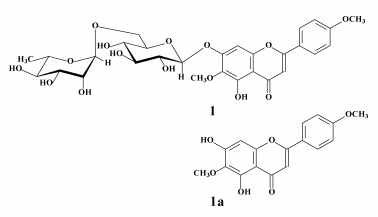 Structure of pectolinarin (1) and pectolinarigenin (1a) obtained from C. setidens