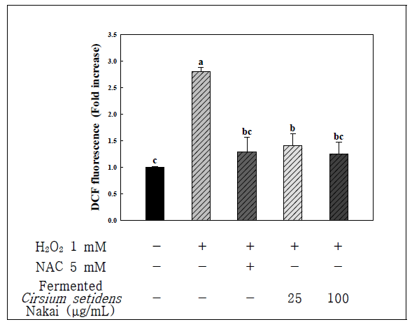 발효곤드레 추출물의 H2O2에 의한 세포 내 ROS 생산 억제 효과