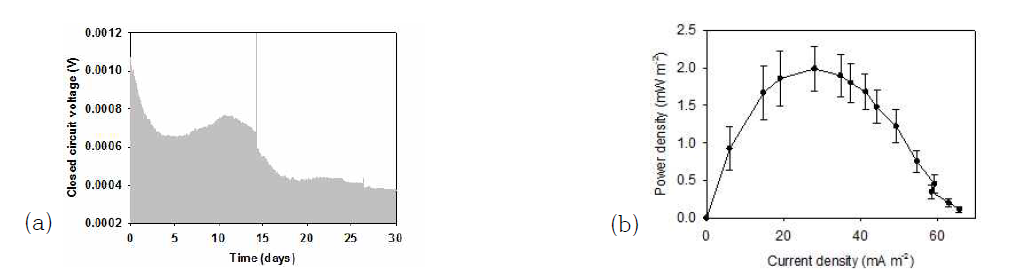 황철석 연료전지의 (a)시간에 따른 전압 출력양의 변화 (b)전류밀도-전력밀도 관계 그래프