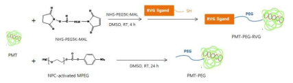 PMT에 PEG와 RVG 리간드 도입, 대조구로 PMT에 PEG 도입