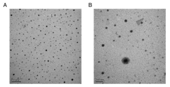 R-PEG-PMT/siRNA (A)와 PEG-PMT (B)의 TEM 이미지
