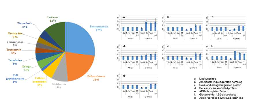 Graphical representation of annotation of ESTs obtained from subtraction cDNA library/Comparison of mRNA expression level of defense/stress induced genes by qRT-PCR analysis.