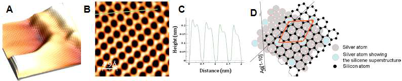 A, B)실리센 박막의 STM 이미지, C) STM 이지미로부터 격자 상수 평가, D) 은-원자 격자 위에 배열된 실리콘 원자 격자 형성 메커니즘 개념도